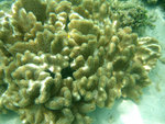 DSCF5160