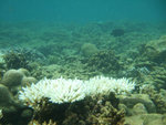 DSCF5168