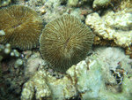 DSCF5170