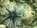 DSCF5180