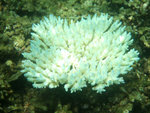 DSCF5184