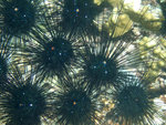 DSCF5185
