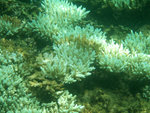 DSCF5186
