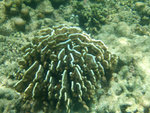 DSCF5199