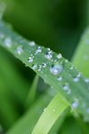 _MG_0003B