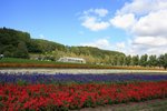 _MG_0669