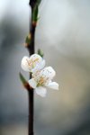IMG_3845