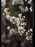B_MG_1633
