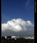 RIMG0047