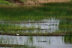 _MG_4814B