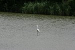 _MG_4861B