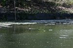 _MG_4916B