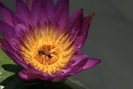_MG_4960B