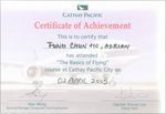 Certificate of Achievement The Basics of Flying