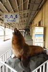 Day 2 Otaru - 014