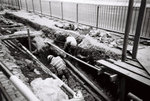 BW5