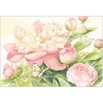 mb6045_49h1_xl