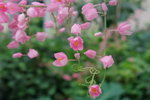 DSCF7063