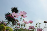 DSC03901
