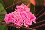FY0_7984