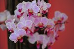 FY0_7987