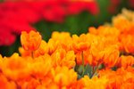 FY0_7989