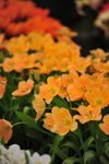 FY0_7990