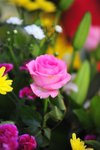 FY0_7995
