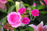 FY0_7996
