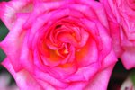 FY0_8006
