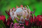 FY0_8010