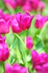 FY0_8026