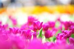 FY0_8028