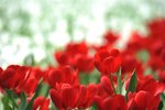 FY0_8045