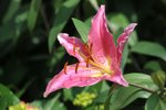 FY0_8059