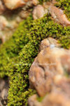 FY0_1184a