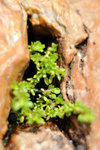 FY0_1185