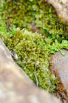 FY0_1189aa