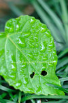 FY0_1190