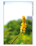 FY0_1534
