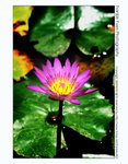 FY0_1594