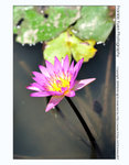 FY0_1601