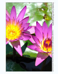 FY0_1604