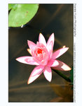 FY0_1612