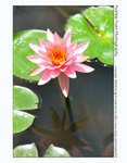 FY0_1613