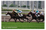 FY0_8804