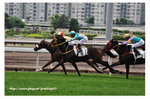 FY0_8806