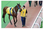 FY0_8866