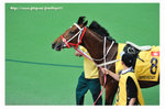 FY0_8868
