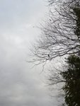 P1140918
